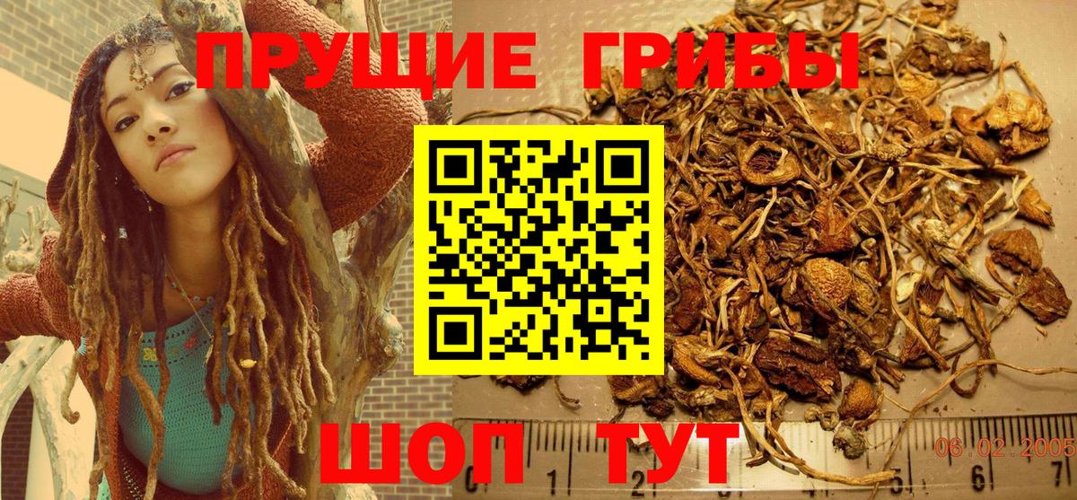 Галлюциногенные грибы Magic Shrooms Мелеуз