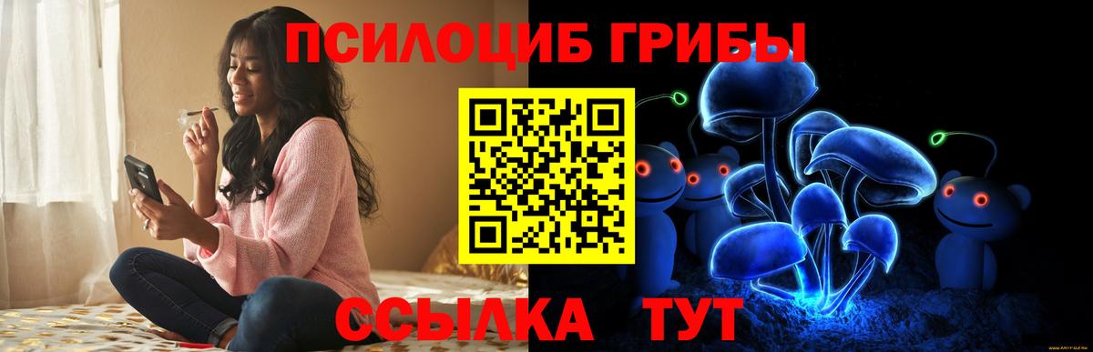 Псилоцибиновые грибы Psilocybine cubensis  Псилоцибиновые грибы Cubensis  Мелеуз  Вход с VPN 